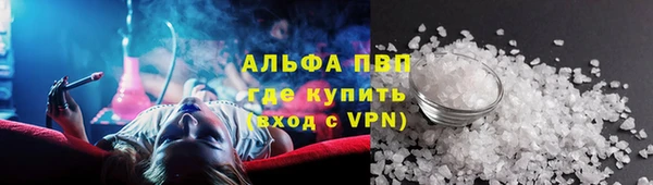 ешки Богданович
