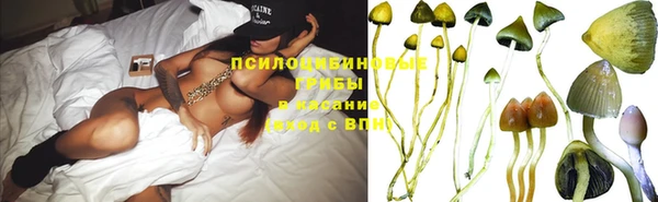 ешки Богданович