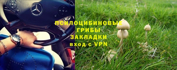 метадон Богородск