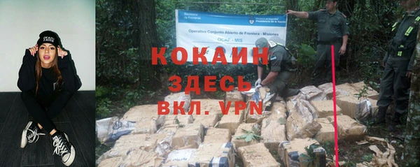 ешки Богданович